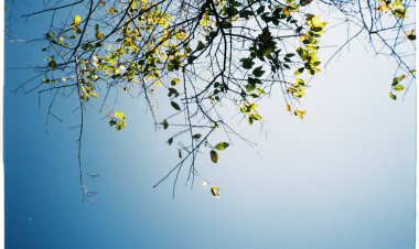 Năm ấy 2012, thời thanh xuân 10 năm