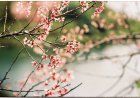3. Tam giác vàng phơi sáng trong chụp ảnh.